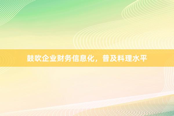鼓吹企业财务信息化，普及料理水平