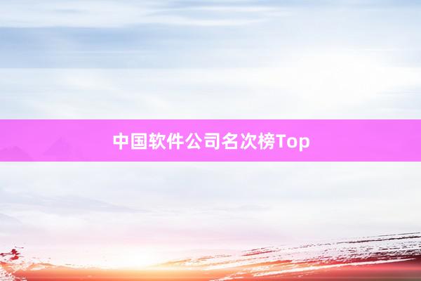 中国软件公司名次榜Top