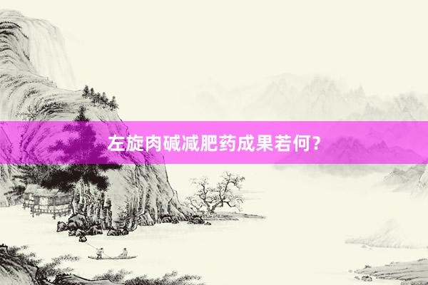 左旋肉碱减肥药成果若何？