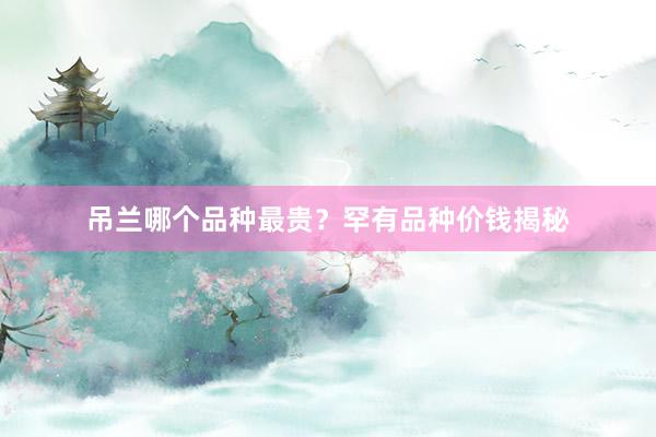 吊兰哪个品种最贵？罕有品种价钱揭秘