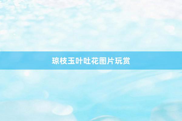 琼枝玉叶吐花图片玩赏